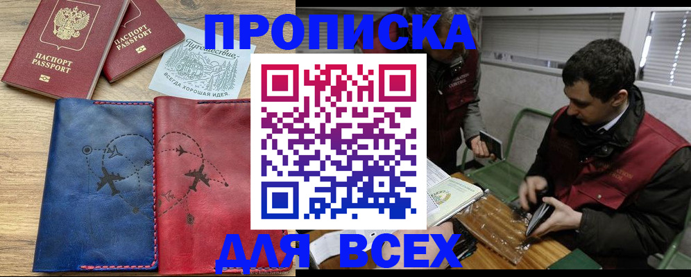 прописка в Сальске